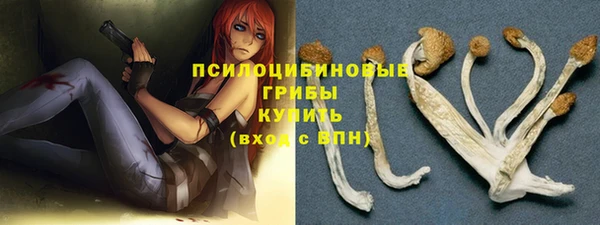 дурь Арсеньев