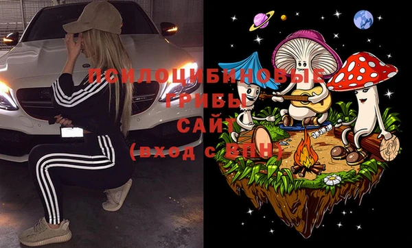мдпв Армянск