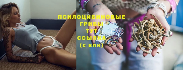 героин Алзамай