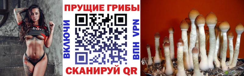 Галлюциногенные грибы GOLDEN TEACHER  Белая Калитва 